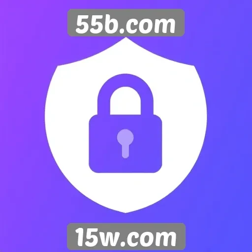 Estudo sobre a segurança e privacidade no 55b.com